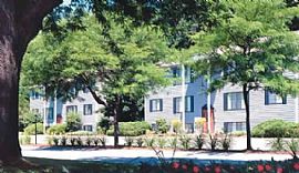 Sublet Harmony Hill Apartment in Albany, NY