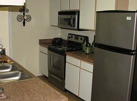 2 Bd/2 Bath Stainless Steel Appliances, in Tampa, FL (Photo 3 of 5)