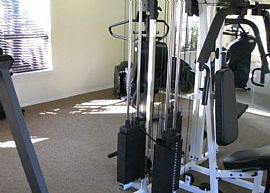 2 Bd/2 Bath Stainless Steel Appliances, in Tampa, FL (Photo 4 of 5)