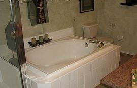 2 Bd/2 Bath Stainless Steel Appliances, in Tampa, FL (Photo 5 of 5)