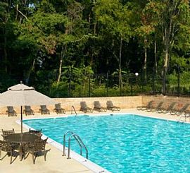 2 Bd/1 Bath Everything You Could Want - in Avondale, MD (Photo 3 of 5)