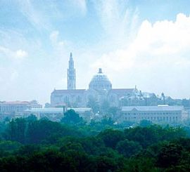 2 Bd/1 Bath Everything You Could Want - in Avondale, MD (Photo 5 of 5)