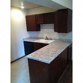 1360 Vivian St in Golden, CO (Photo 4 of 5)