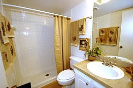 2 Bd/2 Bath Live in Carrollwood Village in Northdale, FL (Photo 2 of 5)