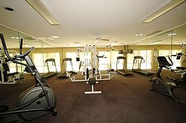 2 Bd/2 Bath Live in Carrollwood Village in Northdale, FL (Photo 4 of 5)