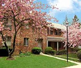 2 Bedroom with Pool, Near Public Transit in Silver Spring, MD (Photo 5 of 5)