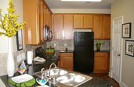 Beautiful Community, Pet Friendly! in Asheville, NC (Photo 2 of 5)