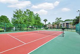 1 Bd/1 Bath Paradise Living with Urban Sty in Sanford, FL (Photo 2 of 5)