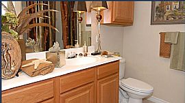 1 Bd/1 Bath Allen, Tx Apts with Walk-In Cl in Allen, TX (Photo 4 of 5)