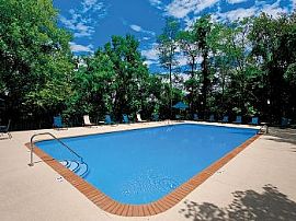 3bd Pet Friendly Apartments in Nashville in Bellevue, TN (Photo 2 of 5)