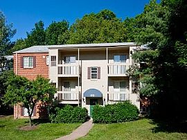 1bd Pet Friendly Apartments in Alexandri in Alexandria, VA (Photo 2 of 5)