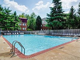 1bd Pet Friendly Apartments in Alexandri in Alexandria, VA (Photo 3 of 5)