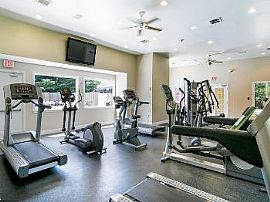 1bd Pet Friendly Apartments in Alexandri in Alexandria, VA (Photo 4 of 5)