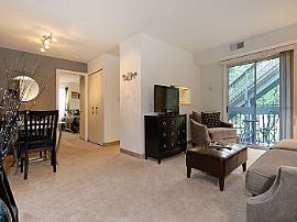 1bd Pet Friendly Apartments in Alexandri in Alexandria, VA (Photo 5 of 5)