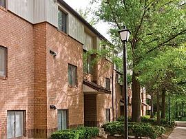 3bd Pet Friendly Apartments in Columbia in Columbia, MD (Photo 4 of 5)