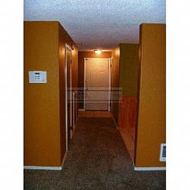 Beautifully Updated Condo! in Parkland, WA (Photo 3 of 5)