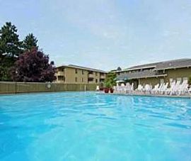 2bed/1bath in Bellevue, Spa, Gym, Pool, in Bellevue, WA (Photo 2 of 5)
