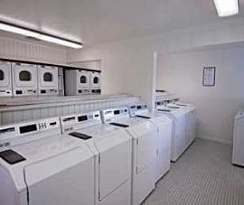 2bed/1bath in Bellevue, Spa, Gym, Pool, in Bellevue, WA (Photo 5 of 5)