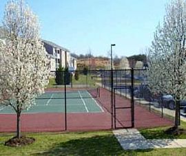 Fredericksburg 2 Bed Near I-95 and Schools in Falmouth, VA (Photo 5 of 5)