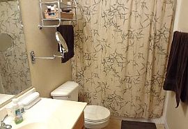 3 Bed / 2 Bath in Mesa - Pets Ok! in Mesa, AZ (Photo 3 of 5)