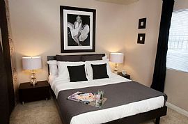 0 Bd/1 Bath Welcome Home to Vida Hollywo in Hollywood, CA (Photo 3 of 5)