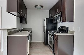 0 Bd/1 Bath Welcome Home to Vida Hollywo in Hollywood, CA (Photo 4 of 5)