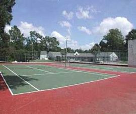 Newly Renovated Apartments and Amenities in Tallahassee, FL (Photo 4 of 5)