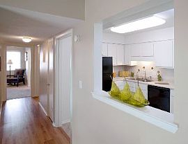 March Free with No Money Down! Limited T in Chattanooga, TN (Photo 3 of 5)