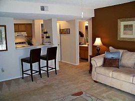 Fitness Center, Pool, and Spa! in Donelson, TN (Photo 5 of 5)