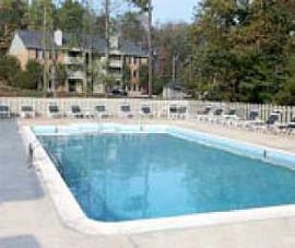 Sarasota 2 Bd with Full Size Washer and Drye in Sarasota, FL (Photo 5 of 5)