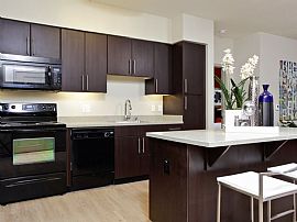 2 Bd/2 Bath Coming Spring 2013 in Natick, MA (Photo 4 of 5)