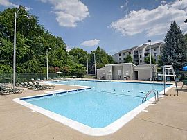 2 Bd/2 Bath Sunny Eat-In Kitchens! Spaci in Vienna, VA (Photo 2 of 5)