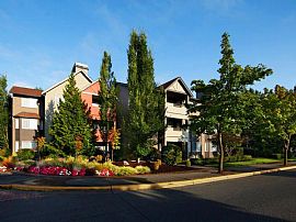 1 Bd/1 Bath 1bed/1bath in Redmond, Pets in Adelaide, WA (Photo 4 of 5)