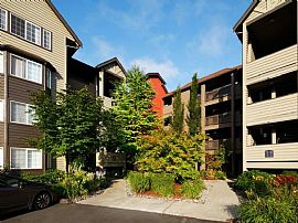 1 Bd/1 Bath 1bed/1bath in Redmond, Pets in Adelaide, WA (Photo 5 of 5)