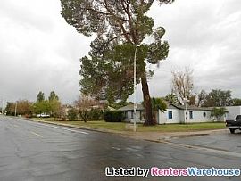 That Home with The Tree in Phoenix, AZ