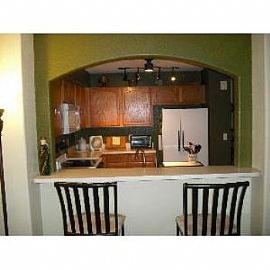 3599 Indigo Ridge Point in Colorado Springs, CO (Photo 3 of 5)