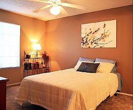 Save Up to $300 Off Move In! in Scottsdale, AZ (Photo 3 of 5)