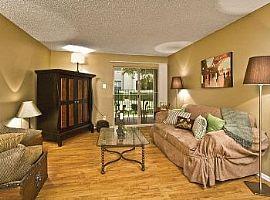 2bd Pet Friendly, Full Size Washer-Dryer in Austin, TX (Photo 4 of 5)