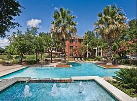 2bd Pet Friendly, Full Size Washer-Dryer in Austin, TX (Photo 5 of 5)