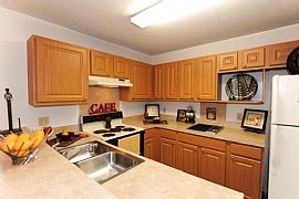 2 Bd/2 Bath Reduced Pricing Call Today! in Lakeland, FL (Photo 4 of 5)