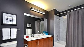 Lovely and Precious 1 Bedroom Apartment Just For You in Chicago, IL (Photo 4 of 6)