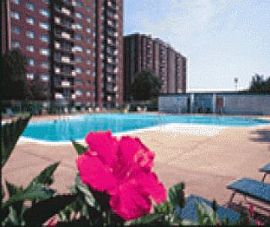 High Rise Living in The D C Metro! in Hillandale, MD (Photo 5 of 5)