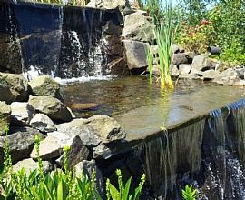 2 Bd/2 Bath 1 Bed in Portland Walking Di in Happy Valley, OR (Photo 5 of 5)