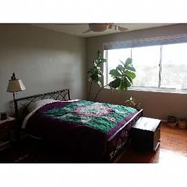 Beautiful 1 Bedroom Condo Including Util in Bethesda, MD (Photo 4 of 5)