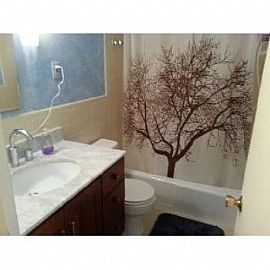 Beautiful 1 Bedroom Condo Including Util in Bethesda, MD (Photo 5 of 5)