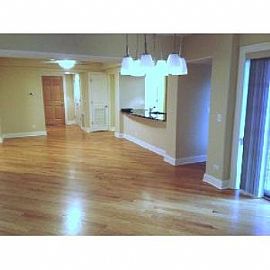 Spacious, Gorgeous 2 Br, 2 Ba Condo with D in Chicago, IL (Photo 2 of 5)
