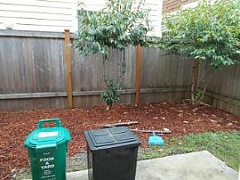 Townhome in Seattle - Maple Leaf in Seattle, WA (Photo 5 of 5)