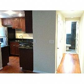 Capitol Hill Apartment with Hardwood Floor in Washington, DC (Photo 5 of 5)