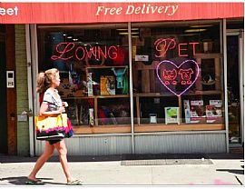 1 Bd/1 Bath Spencer Street Apartments Is in Brooklyn, NY (Photo 5 of 5)