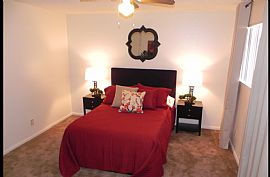 1 Bd/1 Bath Bella Manor Is a Place to Ca in Phoenix, AZ (Photo 3 of 5)